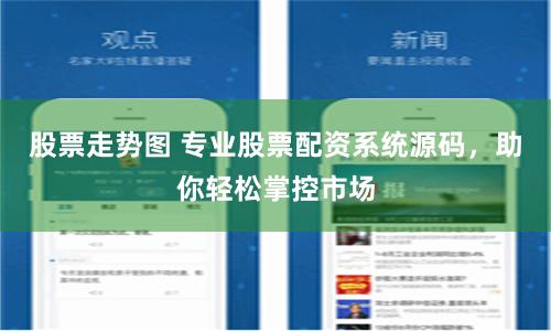 股票走势图 专业股票配资系统源码，助你轻松掌控市场